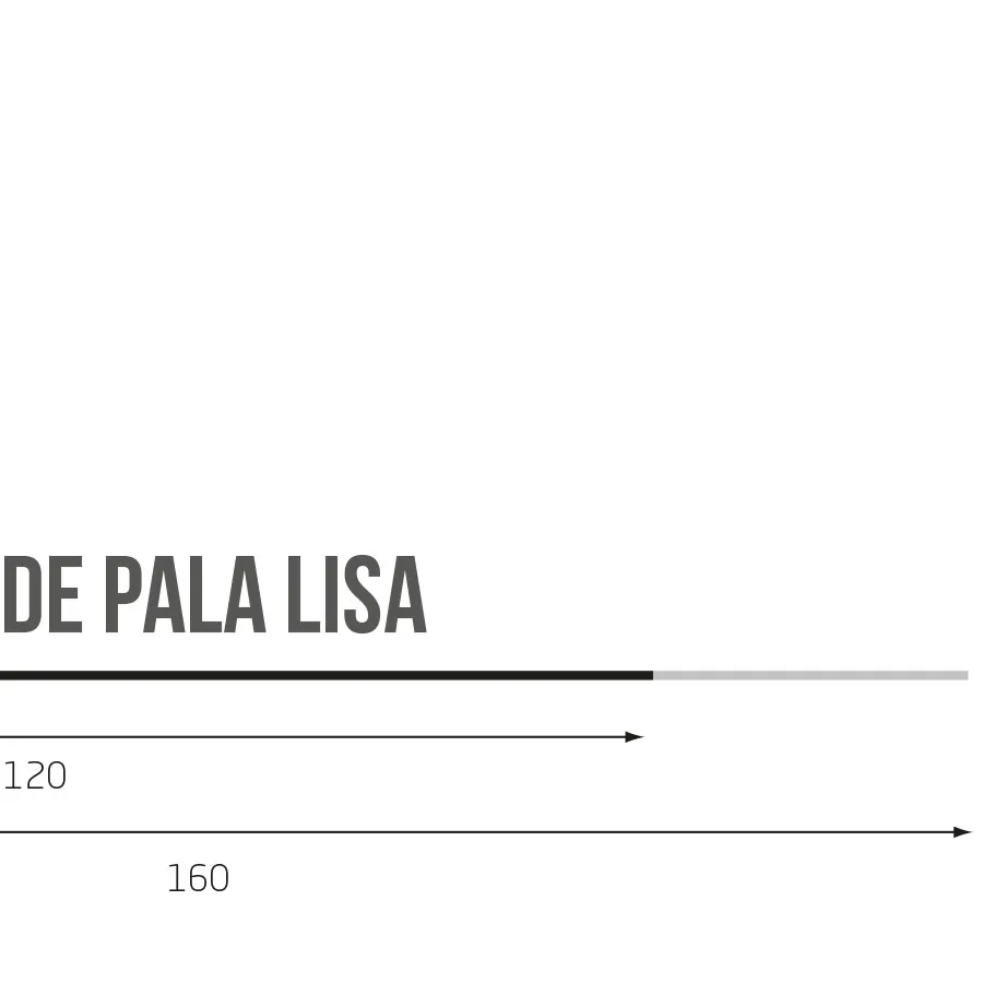 Guía de Pala Lisa - Imagen 3